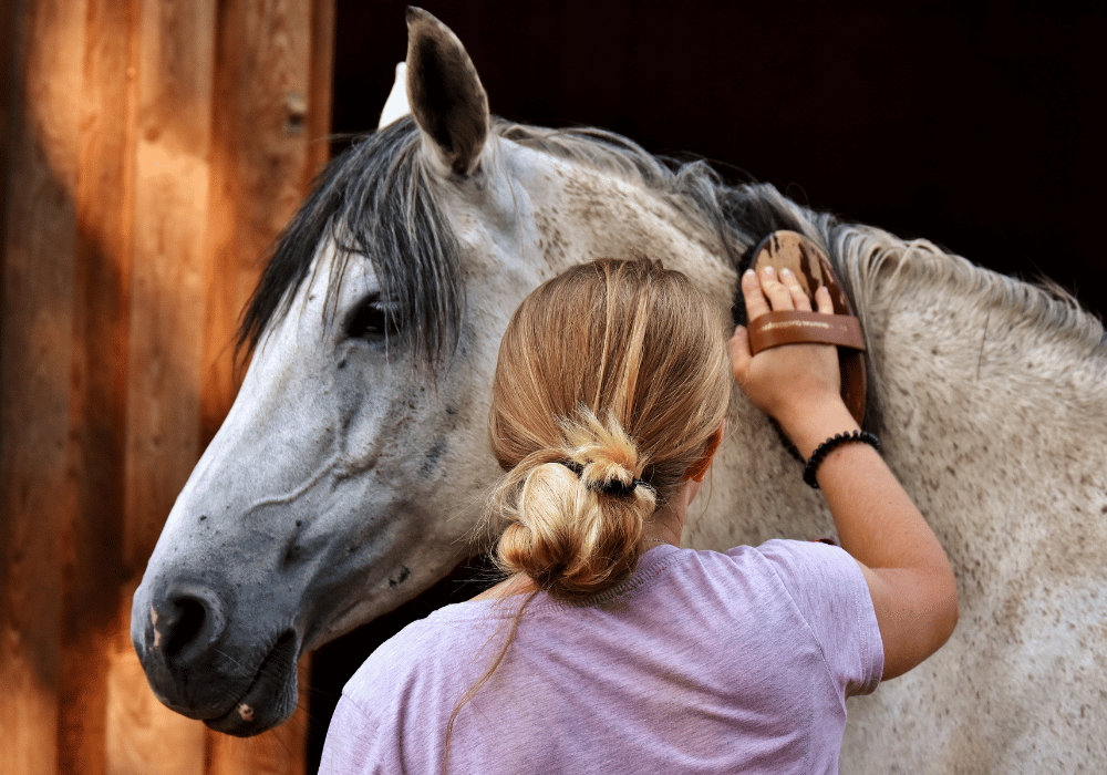 Guide to Equine Herpesvirus (EHV) | Types & Symptoms